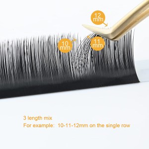 camellia eyelash extensions