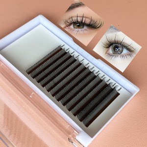 wispy wet lash extensions