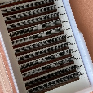 wispy wet lash extensions